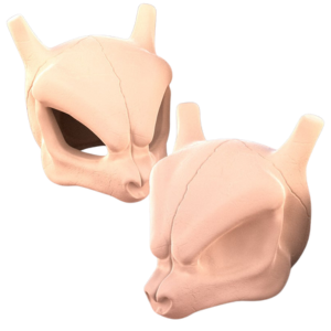 Picture of Mewtwo's Skull STL