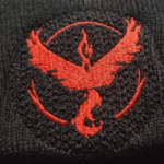 Bundle Pokemon Legendary Birds Embroidery Design stitched by a customer
