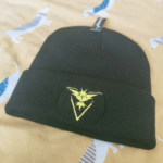 Bundle Pokemon Legendary Birds Embroidery Design stitched by a customer