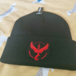 Bundle Pokemon Legendary Birds Embroidery Design stitched by a customer