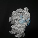 Zeus Embroidery Design stitched by a customer