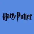 Harry Potter embroidery designs